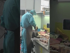 แขนอิเล็กโทรด